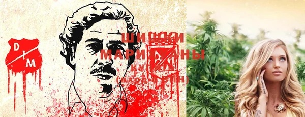 каннабис Верея